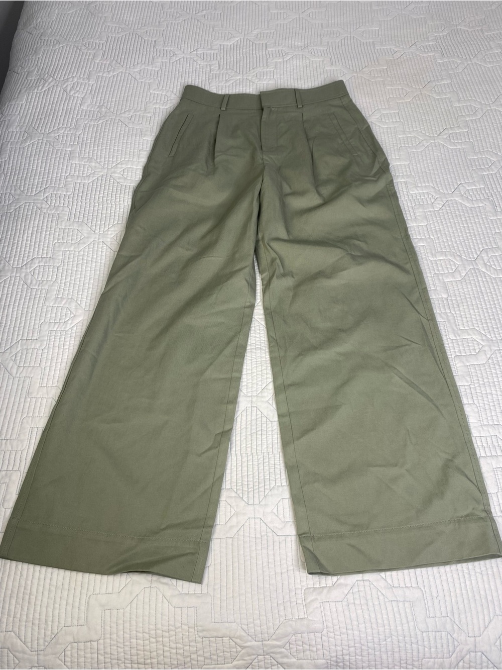 Everlane Women's Green Pleated Wide Leg Pants Cotton Blend Size 8 S